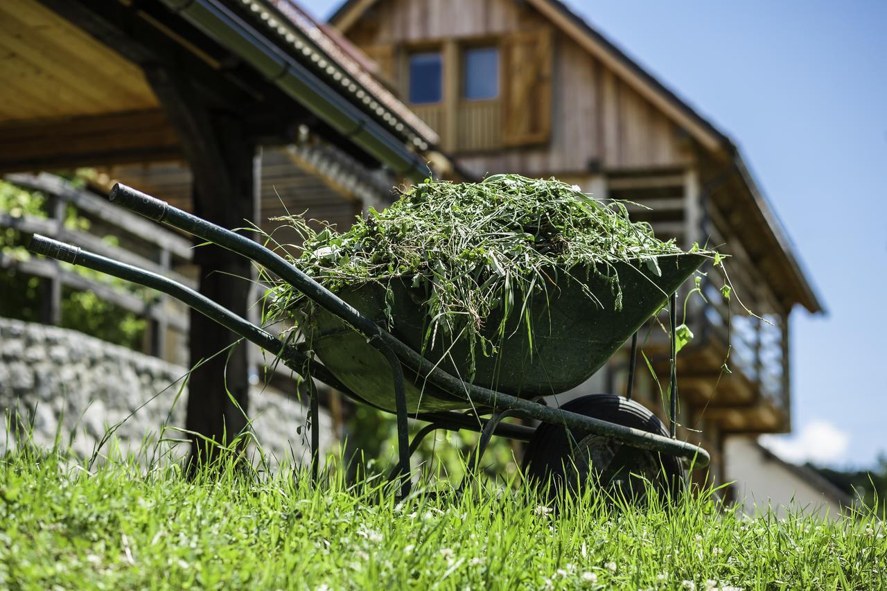 Guest House Kalska Domacija Semic Exterior photo